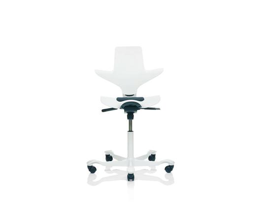 Capisco Plus